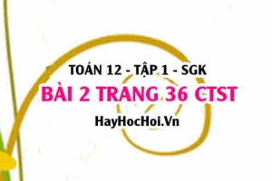Bài 2 trang 36 Toán 12 tập 1 Chân trời sáng tạo